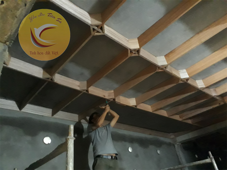 Thi công nhà yến tại Daklak
