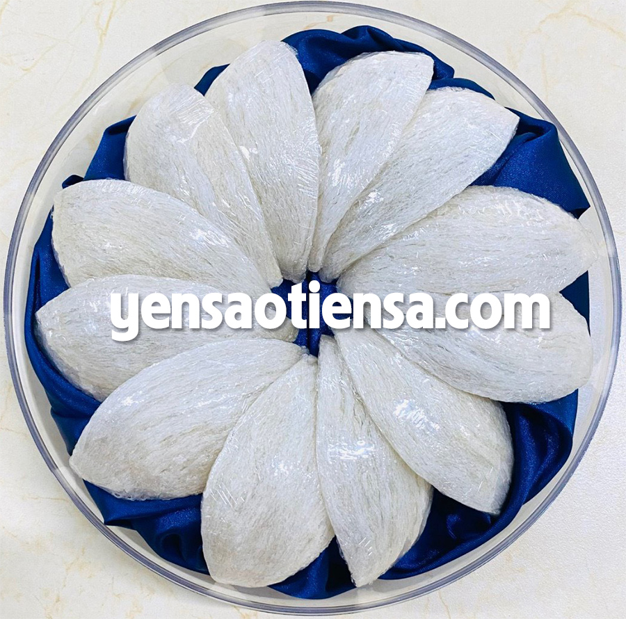 Rút lông định hình A5 xuất khẩu